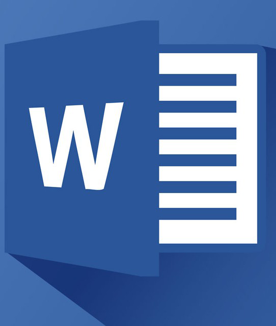 MS OFFICE WORD